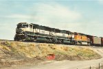 Coal loads ease south